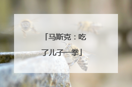 马斯克：吃了儿子一拳