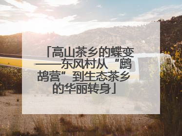 高山茶乡的蝶变——东风村从“鹧鸪营”到生态茶乡的华丽转身