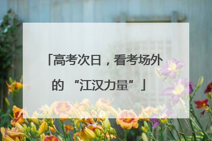 高考次日，看考场外的 “江汉力量”