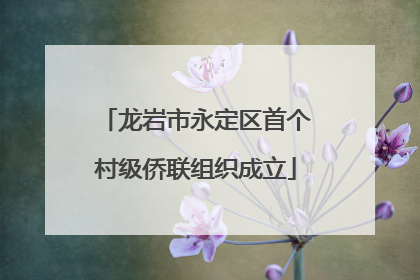 龙岩市永定区首个村级侨联组织成立