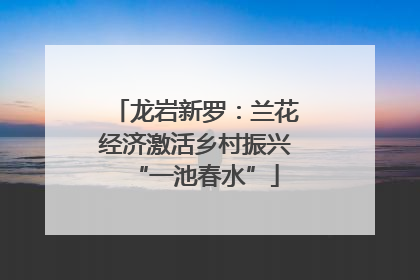 龙岩新罗：兰花经济激活乡村振兴“一池春水”