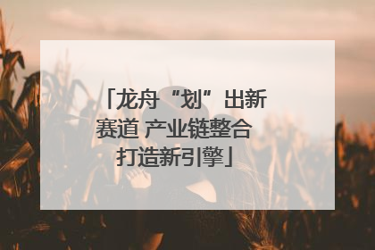 龙舟“划”出新赛道 产业链整合打造新引擎