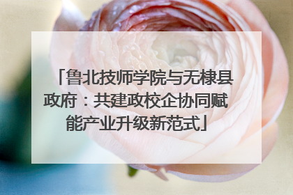 鲁北技师学院与无棣县政府：共建政校企协同赋能产业升级新范式