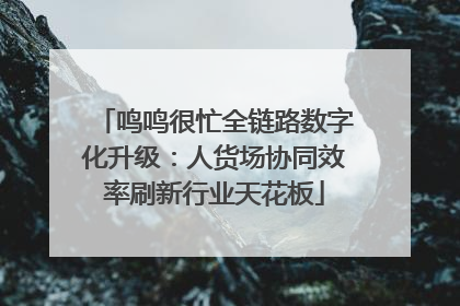 鸣鸣很忙全链路数字化升级：人货场协同效率刷新行业天花板