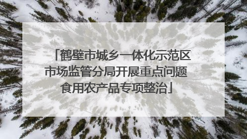 鹤壁市城乡一体化示范区市场监管分局开展重点问题食用农产品专项整治