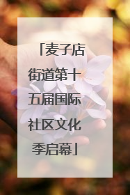 麦子店街道第十五届国际社区文化季启幕