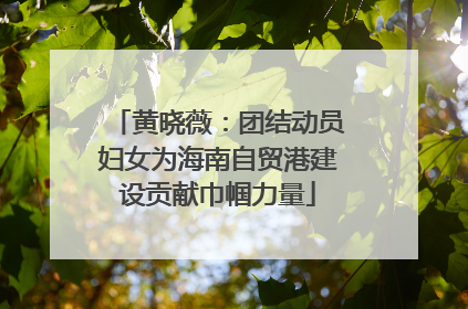 黄晓薇：团结动员妇女为海南自贸港建设贡献巾帼力量