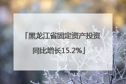 黑龙江省固定资产投资同比增长15.2%