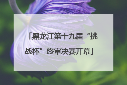 黑龙江第十九届“挑战杯”终审决赛开幕