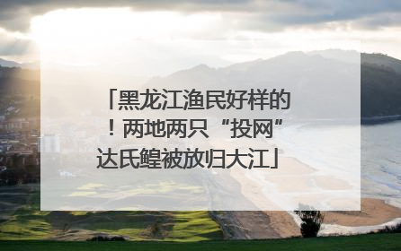 黑龙江渔民好样的！两地两只“投网”达氏鳇被放归大江