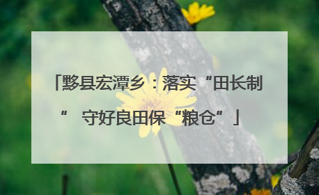 黟县宏潭乡：落实“田长制” 守好良田保“粮仓”