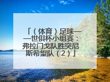 （体育）足球——世俱杯小组赛：弗拉门戈队胜突尼斯希望队（2）