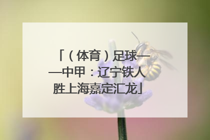 （体育）足球——中甲：辽宁铁人胜上海嘉定汇龙