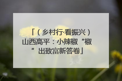 （乡村行·看振兴）山西高平：小辣椒“椒”出致富新答卷