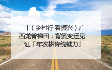 （乡村行·看振兴）广西龙脊梯田：背篓变迁见证千年农耕传统魅力