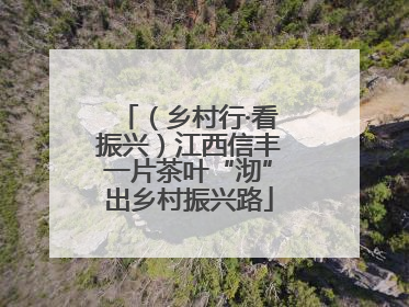 （乡村行·看振兴）江西信丰一片茶叶“沏”出乡村振兴路