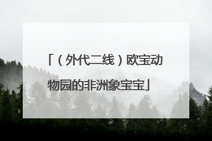 （外代二线）欧宝动物园的非洲象宝宝