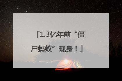 1.3亿年前“僵尸蚂蚁”现身！