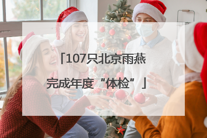 107只北京雨燕完成年度“体检”