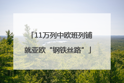 11万列中欧班列铺就亚欧“钢铁丝路”