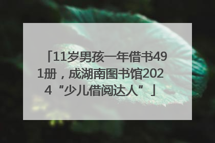 11岁男孩一年借书491册，成湖南图书馆2024“少儿借阅达人”