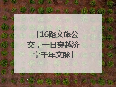 16路文旅公交，一日穿越济宁千年文脉