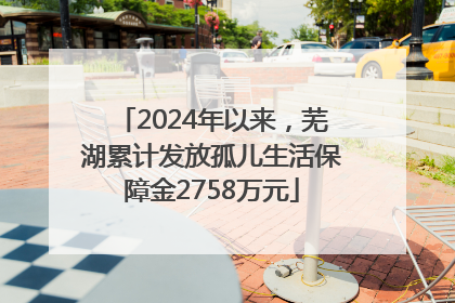 2024年以来，芜湖累计发放孤儿生活保障金2758万元