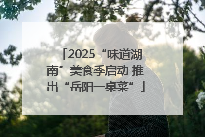2025“味道湖南”美食季启动 推出“岳阳一桌菜”