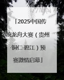2025中国传统龙舟大赛（贵州·铜仁·碧江）预赛激情启幕