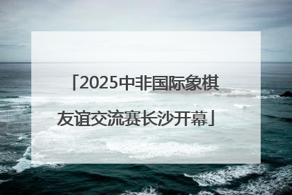 2025中非国际象棋友谊交流赛长沙开幕