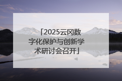 2025云冈数字化保护与创新学术研讨会召开