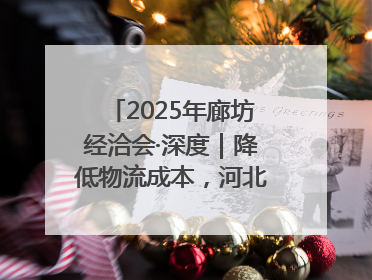 2025年廊坊经洽会·深度｜降低物流成本，河北物流集团找到一把“金钥匙”