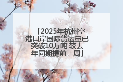 2025年杭州空港口岸国际货运量已突破10万吨 较去年同期提前一周
