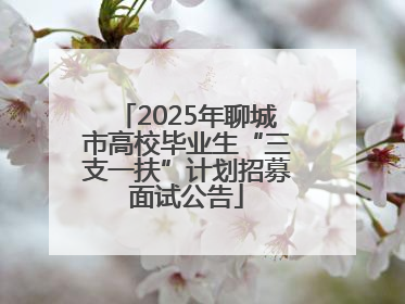 2025年聊城市高校毕业生“三支一扶”计划招募面试公告