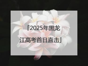 2025年黑龙江高考首日直击