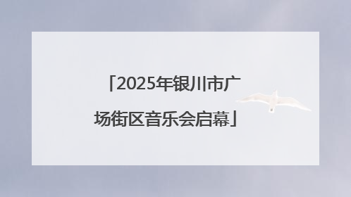2025年银川市广场街区音乐会启幕