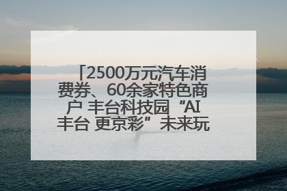 2500万元汽车消费券、60余家特色商户 丰台科技园“AI丰台 更京彩”未来玩家市集活动正式开幕