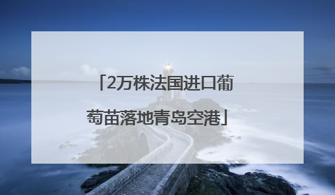 2万株法国进口葡萄苗落地青岛空港