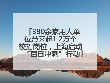 380余家用人单位带来超1.2万个校招岗位，上海启动“百日冲刺”行动