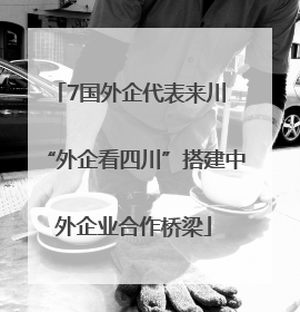 7国外企代表来川 “外企看四川”搭建中外企业合作桥梁