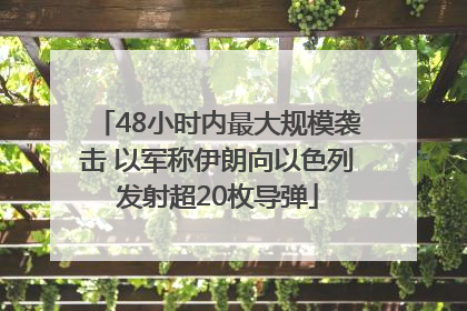 48小时内最大规模袭击 以军称伊朗向以色列发射超20枚导弹
