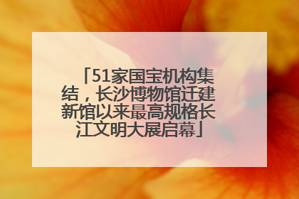 51家国宝机构集结，长沙博物馆迁建新馆以来最高规格长江文明大展启幕