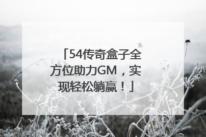 54传奇盒子全方位助力GM，实现轻松躺赢！