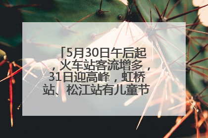 5月30日午后起，火车站客流增多，31日迎高峰，虹桥站、松江站有儿童节和端午亲子活动