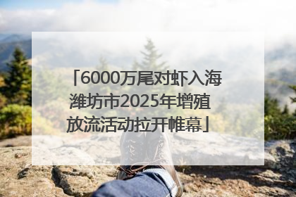 6000万尾对虾入海 潍坊市2025年增殖放流活动拉开帷幕