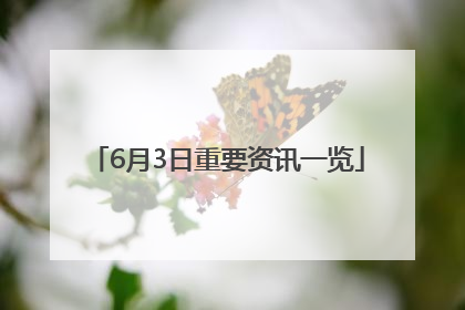 6月3日重要资讯一览
