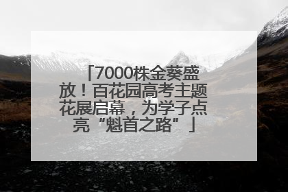 7000株金葵盛放！百花园高考主题花展启幕，为学子点亮“魁首之路”