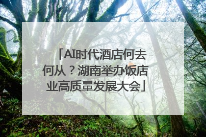 AI时代酒店何去何从？湖南举办饭店业高质量发展大会