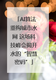 AI算法重构城市水网 这场科技峰会揭开水的“智慧密码”