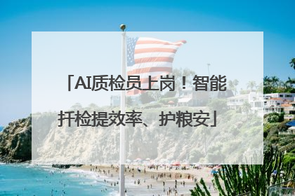 AI质检员上岗！智能扦检提效率、护粮安